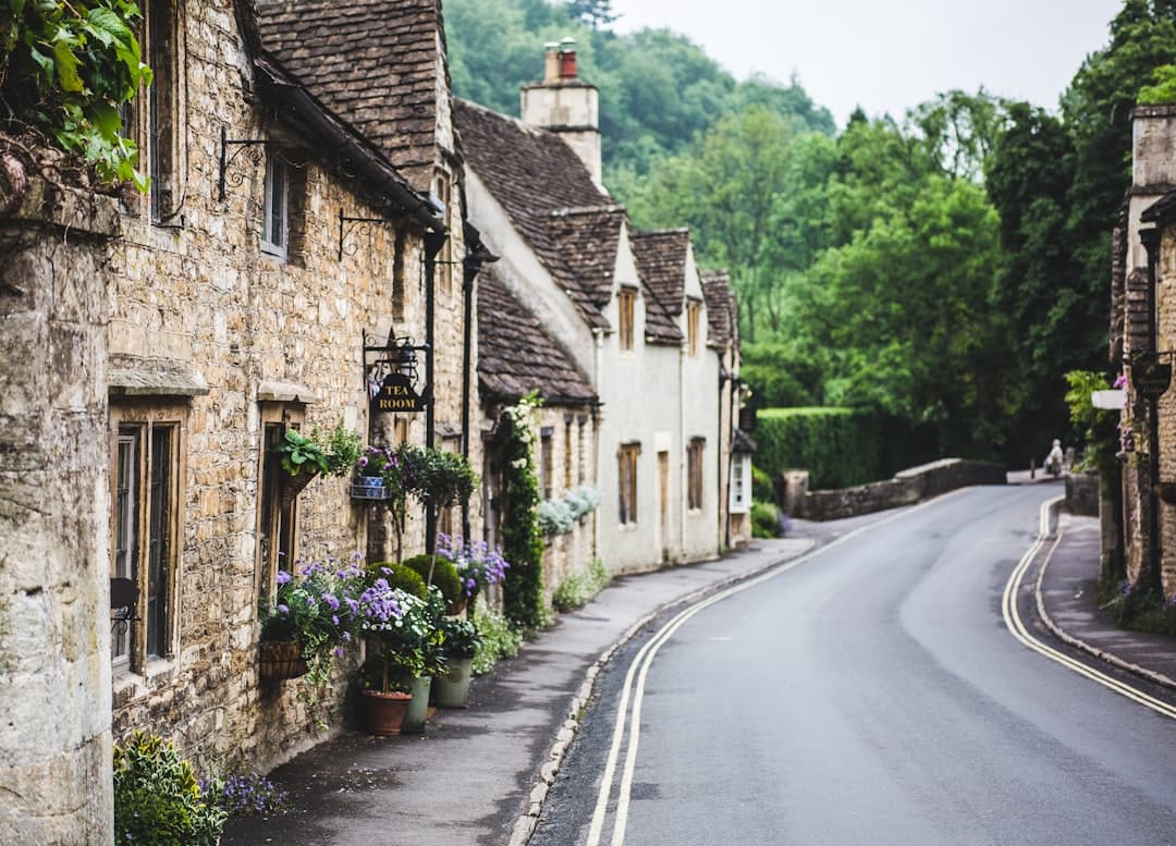 Local businesses in Guildford, Surrey